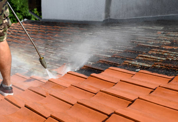 Best Power Washing Near Me  in Safety Harbor, FL