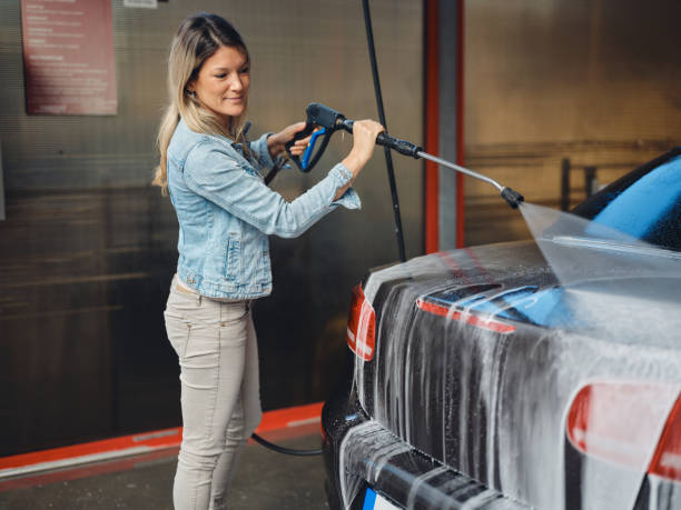 Best Pressure Washing Driveway  in Safety Harbor, FL