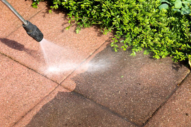  Safety Harbor, FL Pressure Washing Pros